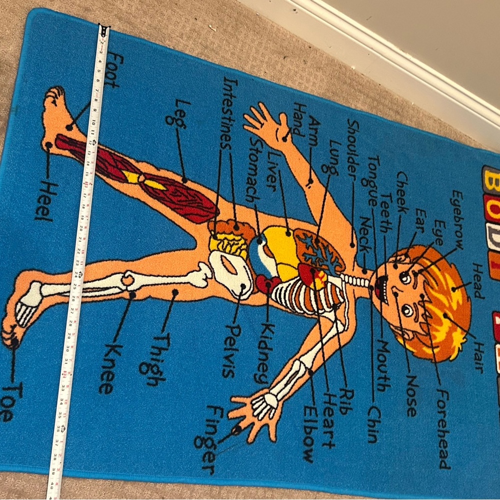 Colorful Educational Body Parts Rug - Picture 5 of 5